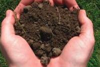 Cara Membersihkan Tanah dari Najis Menurut Tuntunan Islam