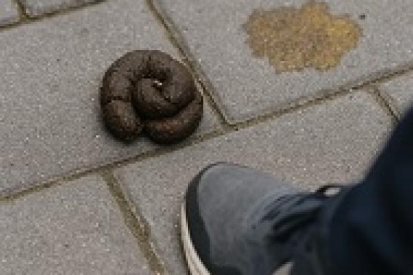 Najis yang Dimaafkan dan Tidak Menurut Hukum Islam