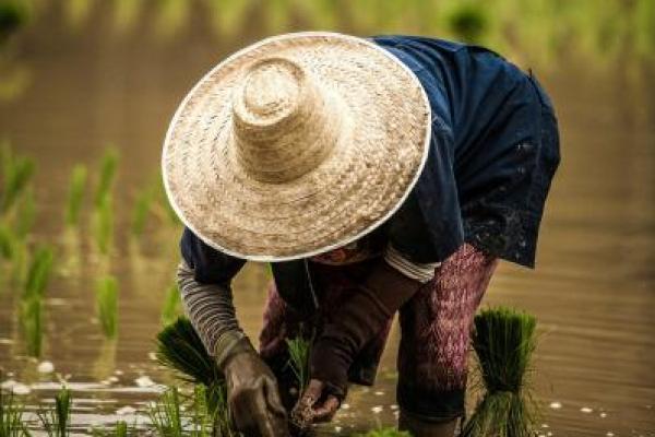 Keutamaan Bertani dalam Islam, Sedekah Jariyah dari Hasil Bumi