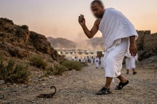 Ini Hewan yang Boleh Dibunuh Saat Ihram
