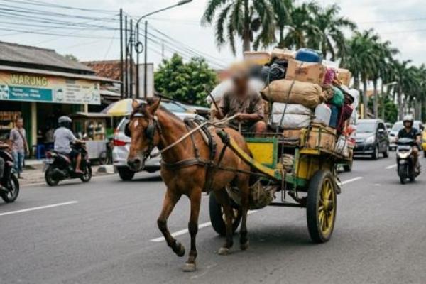 Panduan Islam dalam Memanfaatkan Hewan Secara Bijak