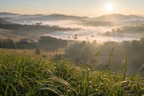Kesejukan Embun Kabut Pagi Ketuk Pintu Hati