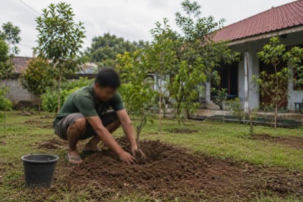 Keutamaan Menanam Pohon Sebagai Investasi Sedekah Jariyah
